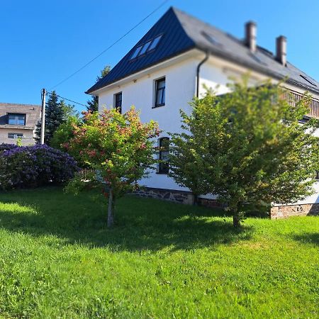 Ferienwohnungen Reiterhof Lienemann Grünbach Εξωτερικό φωτογραφία