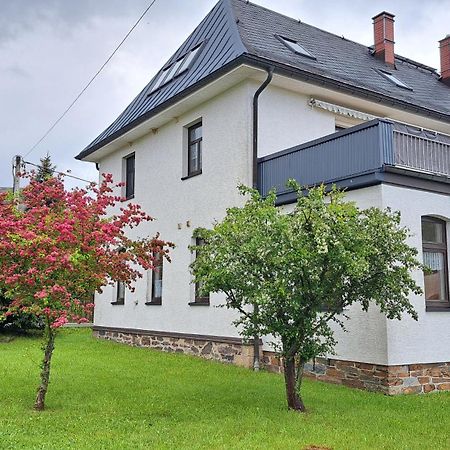 Ferienwohnungen Reiterhof Lienemann Grünbach Εξωτερικό φωτογραφία